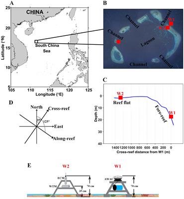 Observations of waves and currents on the fore-reef and reef flat of a coral reef atoll in the South China Sea